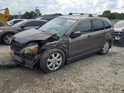 Honda salvage cars for sale: 2009 Honda CR-V EX