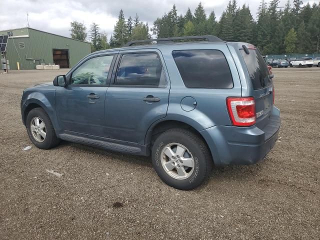 2010 Ford Escape XLT