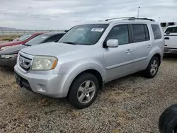 Honda salvage cars for sale: 2009 Honda Pilot EX