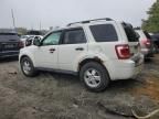 2009 Ford Escape XLT