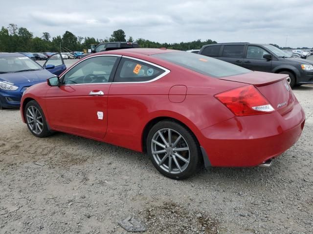 2011 Honda Accord EXL