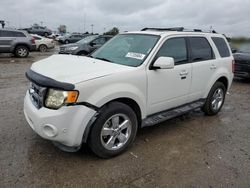 Salvage cars for sale at Indianapolis, IN auction: 2011 Ford Escape Limited