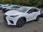 2020 Lexus NX 300 F Sport