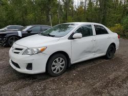 Salvage cars for sale at Cookstown, ON auction: 2013 Toyota Corolla Base