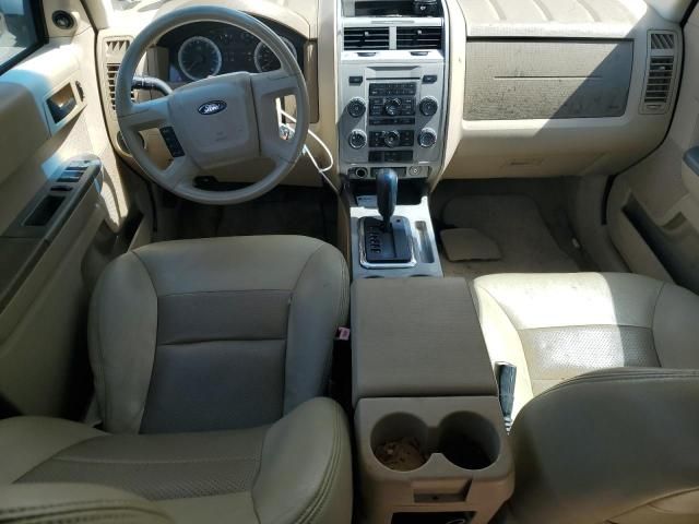 2008 Ford Escape XLT