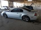 2004 Ford Mustang Cobra SVT