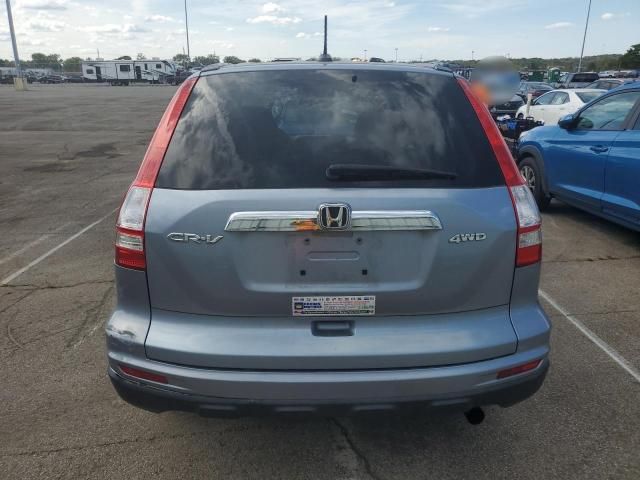 2010 Honda CR-V EXL