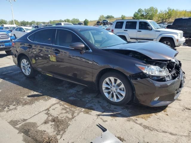 2014 Lexus ES 300H