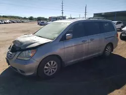 Salvage cars for sale at Colorado Springs, CO auction: 2009 Honda Odyssey EXL