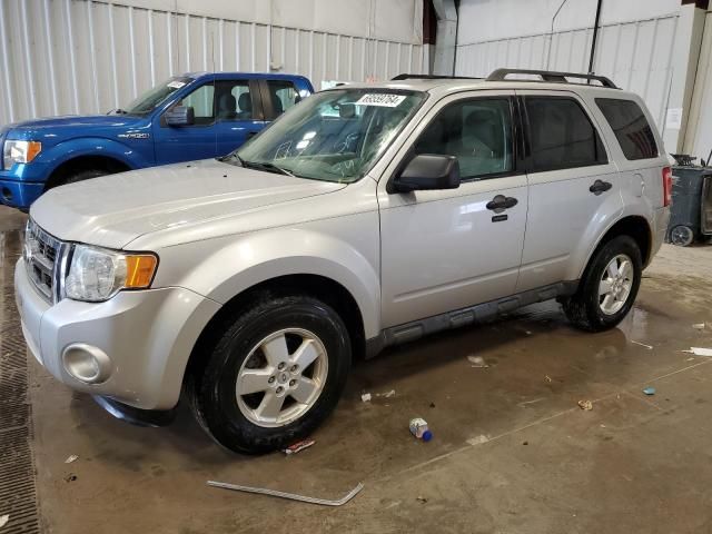 2010 Ford Escape XLT