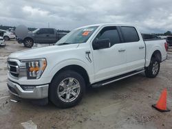 Salvage cars for sale at Houston, TX auction: 2023 Ford F150 Supercrew