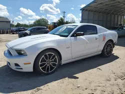 Ford salvage cars for sale: 2014 Ford Mustang GT