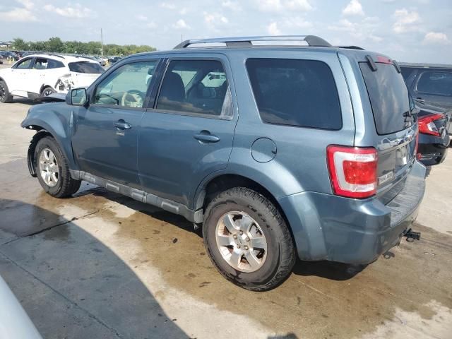 2011 Ford Escape Limited