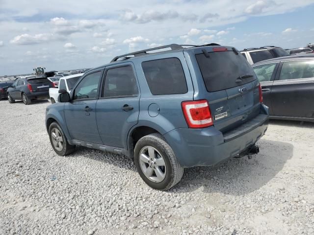 2012 Ford Escape XLT