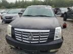 2008 Cadillac Escalade Luxury