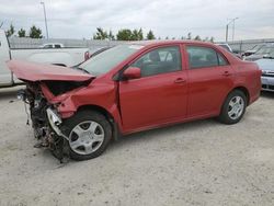 Salvage cars for sale at Nisku, AB auction: 2009 Toyota Corolla Base