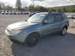 Salvage cars for sale at Grantville, PA auction: 2011 Subaru Forester 2.5X Premium