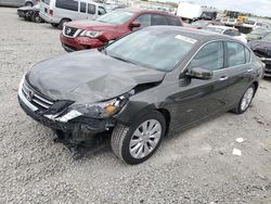 Honda salvage cars for sale: 2013 Honda Accord EXL