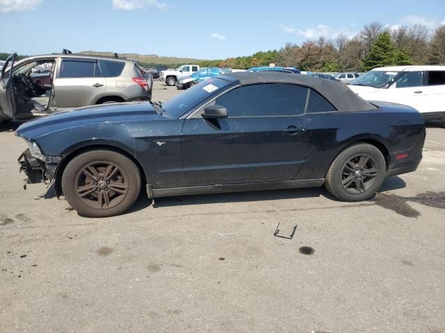 2013 Ford Mustang