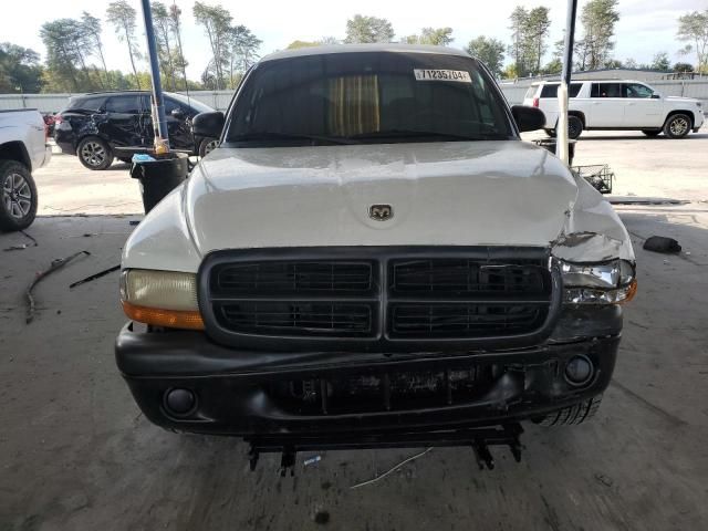 2000 Dodge Dakota Quattro