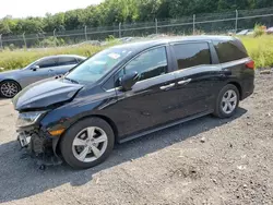 Honda salvage cars for sale: 2020 Honda Odyssey EX