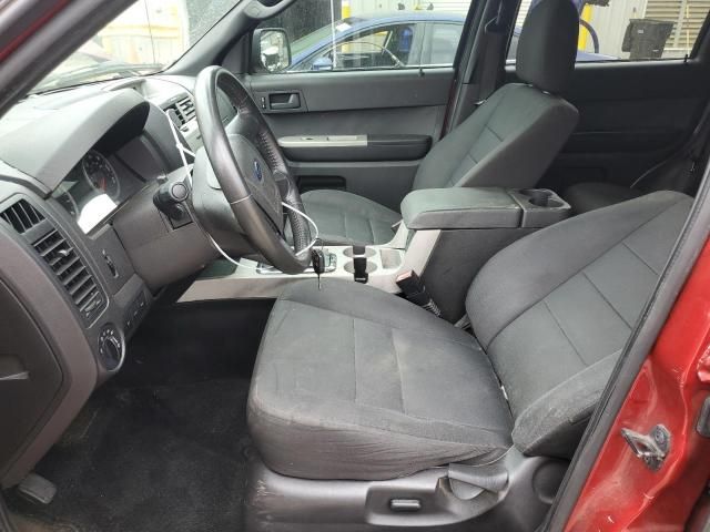 2011 Ford Escape XLT