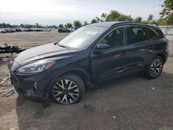 Salvage cars for sale at London, ON auction: 2020 Ford Escape SEL