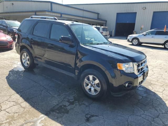 2010 Ford Escape Limited