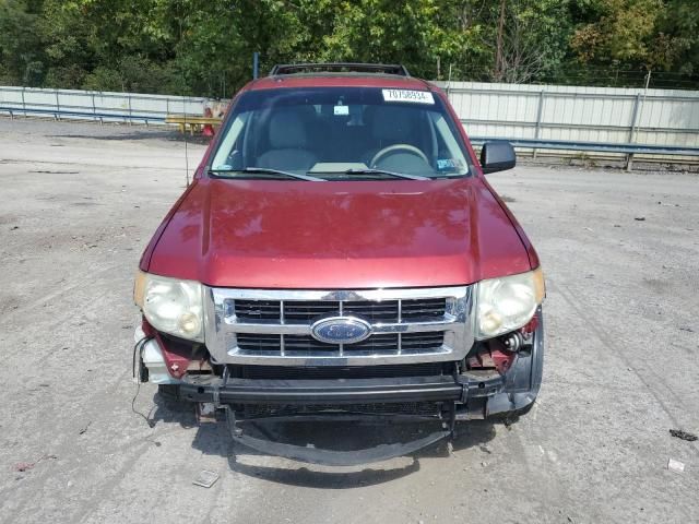 2008 Ford Escape XLT