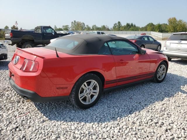 2010 Ford Mustang