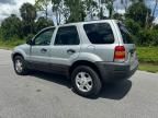 2004 Ford Escape XLT