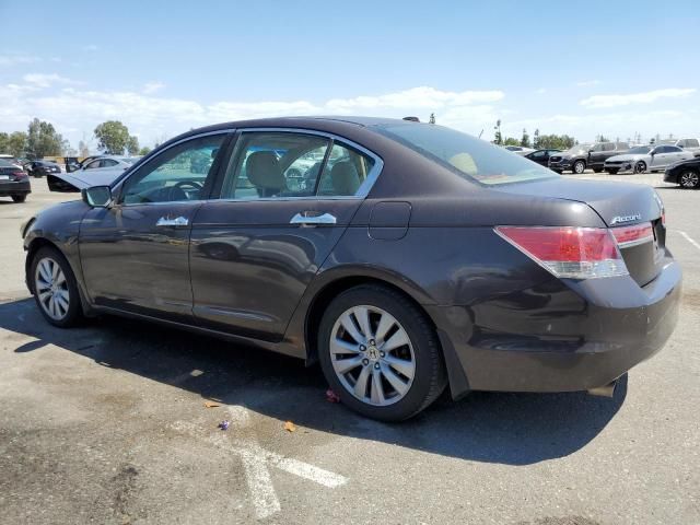 2011 Honda Accord EXL