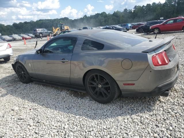 2010 Ford Mustang