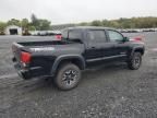 2019 Toyota Tacoma Double Cab