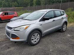 Salvage cars for sale at Baltimore, MD auction: 2013 Ford Escape S