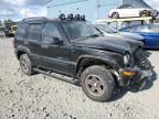 2003 Jeep Liberty Renegade