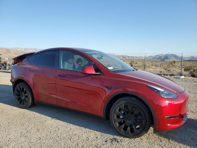 2024 Tesla Model Y