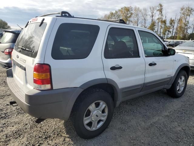 2001 Ford Escape XLT