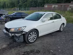 Honda Vehiculos salvage en venta: 2015 Honda Accord EXL