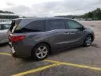 2019 Honda Odyssey EXL