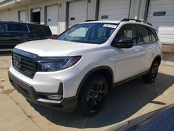 Salvage cars for sale at Louisville, KY auction: 2024 Honda Passport Black Edition