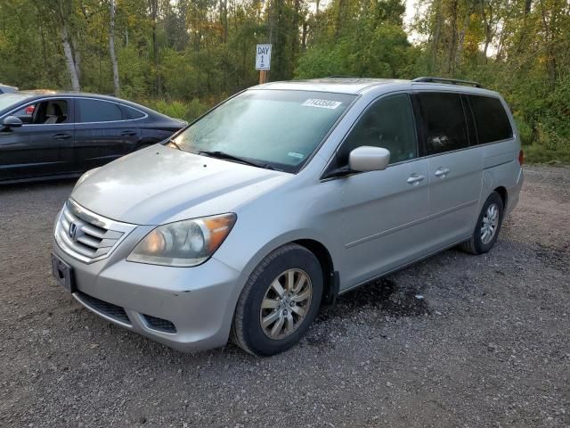 2009 Honda Odyssey EXL