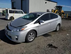 Toyota salvage cars for sale: 2010 Toyota Prius