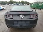 2013 Ford Mustang