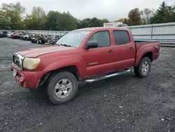 Toyota Vehiculos salvage en venta: 2006 Toyota Tacoma Double Cab