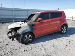 Salvage cars for sale at Anthony, TX auction: 2019 KIA Soul