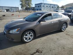 Salvage cars for sale at Anthony, TX auction: 2012 Nissan Maxima S