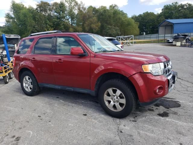 2011 Ford Escape Limited