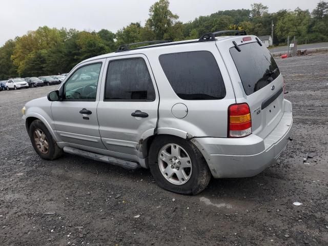 2007 Ford Escape XLT