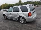 2007 Ford Escape XLT